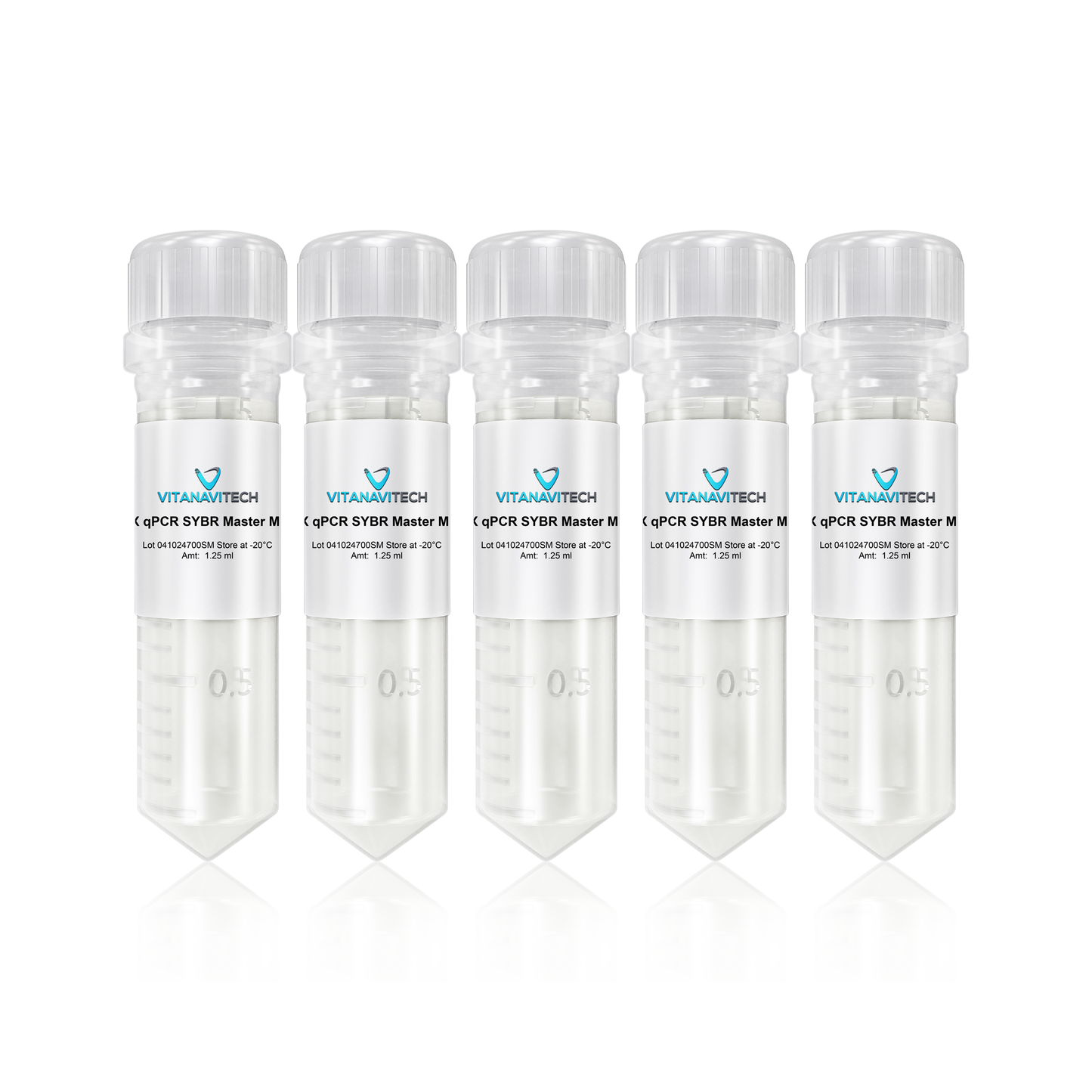 2X qPCR SYBR Green Master Mix