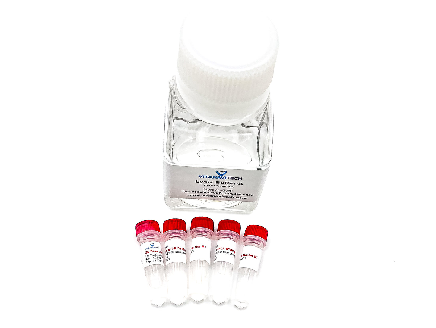 Core Direct qPCR SYBR Master Mix