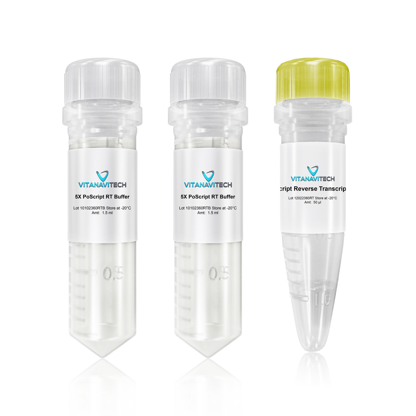 PoScript Reverse Transcriptase
