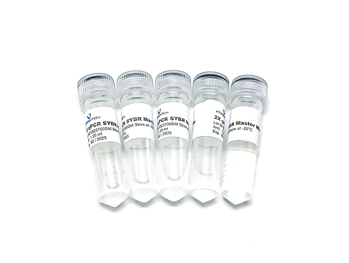 2X qPCR SYBR Green Master Mix