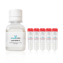 Core Direct qPCR SYBR Master Mix