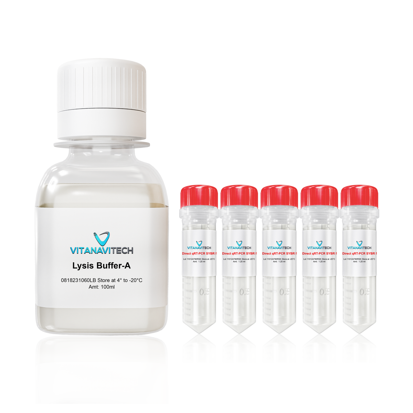 Core Direct qPCR SYBR Master Mix