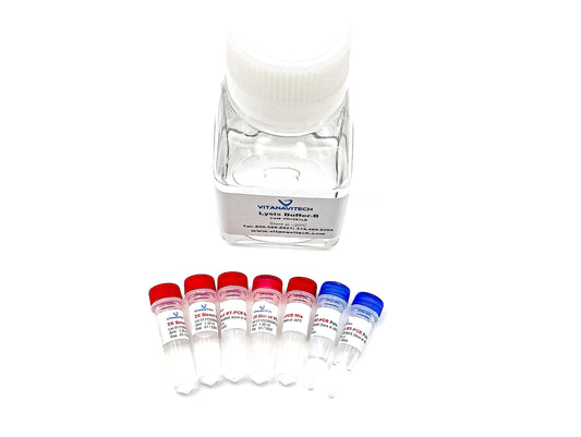 Core Direct RT-PCR Kit