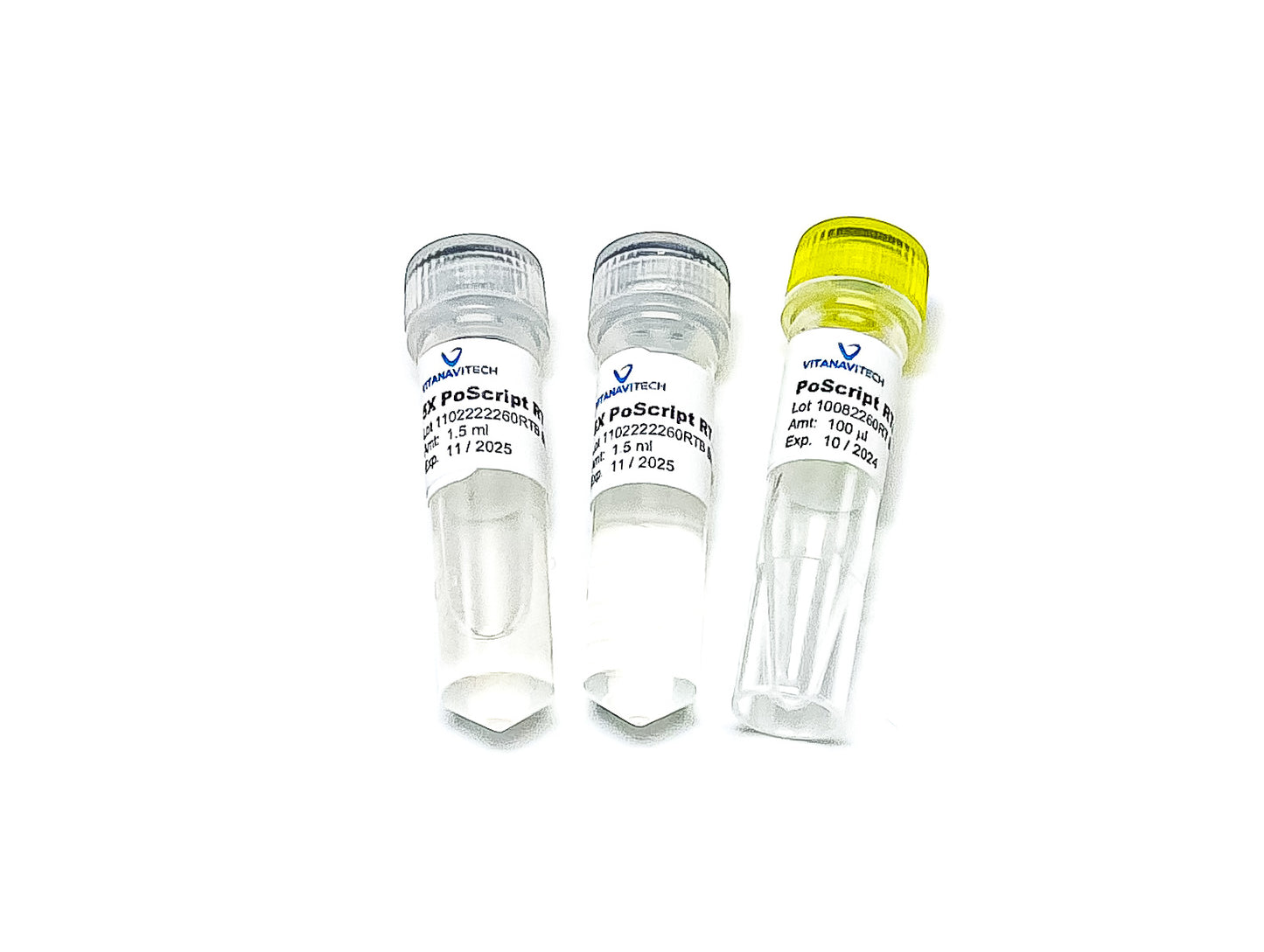 PoScript Reverse Transcriptase