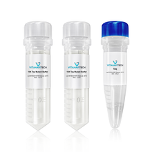 Taq & Taq LA DNA Polymerase