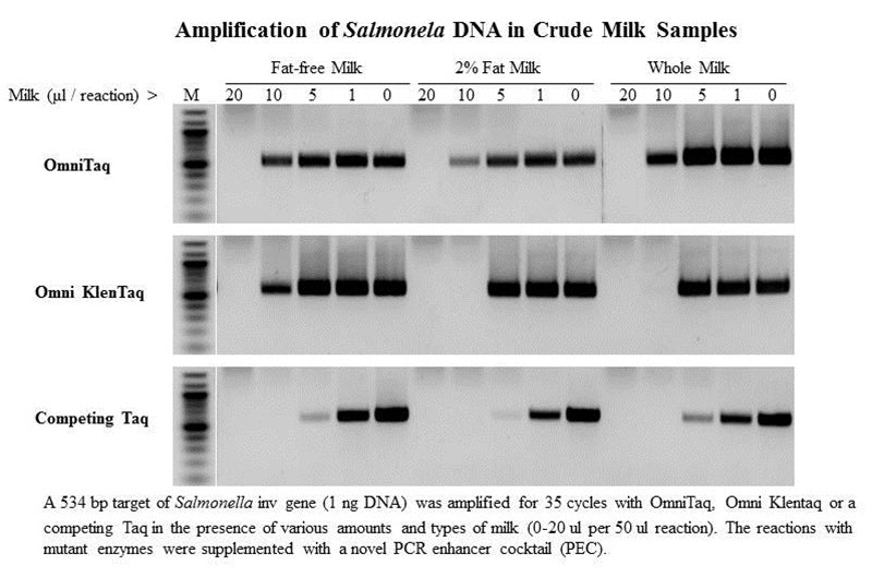 PCR Enhancers