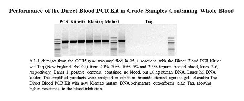 Core Direct PCR Kit